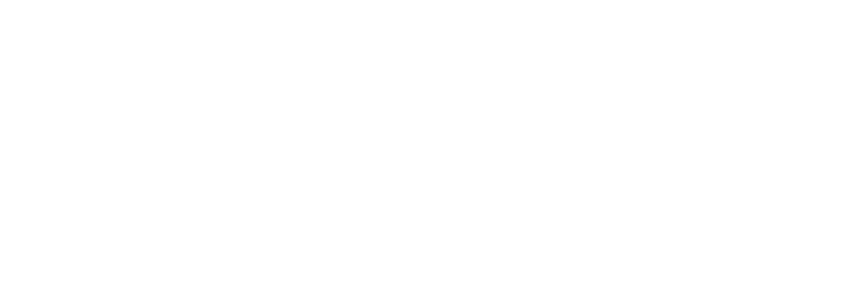 University Partners